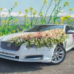 luxury car rental in Goa